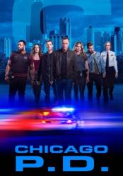 Полиция Чикаго 1-9 сезон