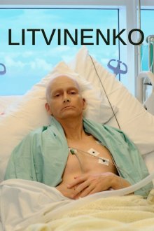 Литвиненко (сериал, 2022)